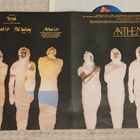 Toyah Anthem lp - pikkukuva 5