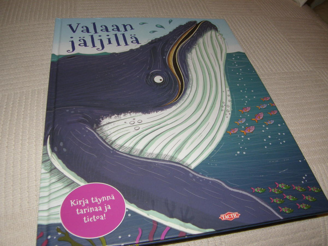 Camilla de la Bedoyere Valaan jäljillä