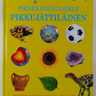 Pienen koululaisen pikkujättiläinen - pikkukuva 1