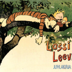 LASSI ja LEEVI: JUHLAKIRJA 5 - pikkukuva 1
