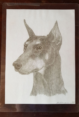 DOBERMANNI LAMINOITU KUVA