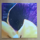 FIS : From Patterns To Details LP - pikkukuva 2