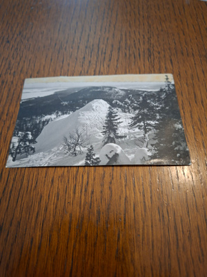 12 Koli