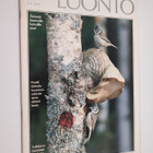 Suomen luonto 5/1988 - pikkukuva 1