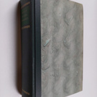 Knut Hamsun : Pienoisromaanit - pikkukuva 1