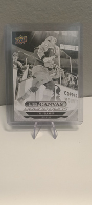 2024-25 Upper Deck Extended- Tye Felhaber- Canvas Young Guns
