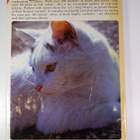 Howard Loxton : The Beauty of Cats - pikkukuva 2