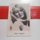 K14 Panda POP 100# Mary Hopkin /Those were the days - pikkukuva 1