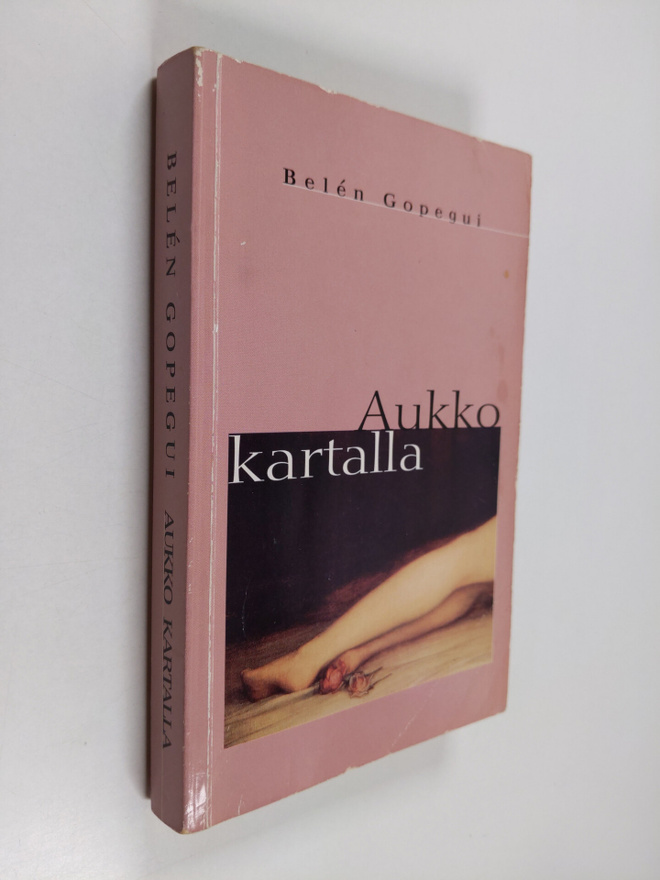 Belen Gopegui : Aukko kartalla