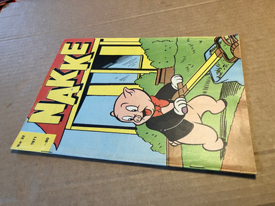 NAKKE 32/1971 HYVÄ