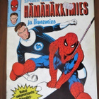 Hämähäkkimies ja Ihmemies - pikkukuva 1
