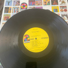 Fat Mattress 1969 LP Noel Redding + Clonakilty Cowboys - pikkukuva 3