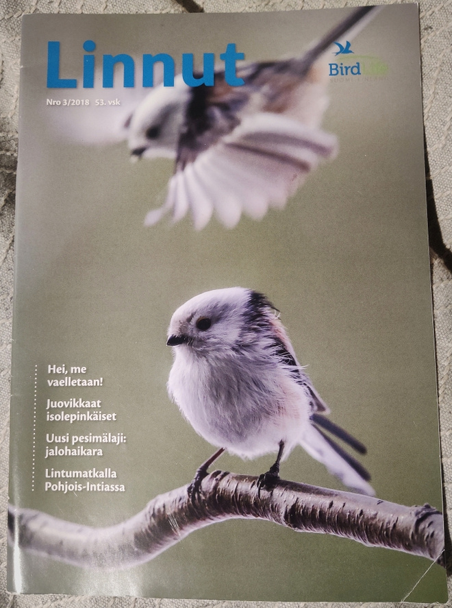 LINNUT - lehti 3/2018 BirdLife