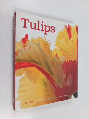 Liz Dobbs : Tulips