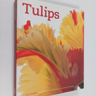 Liz Dobbs : Tulips - pikkukuva 1