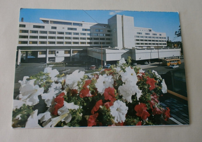 Turku, Hotelli Marina Palace, Keltainen vaara,1982 Saksaan