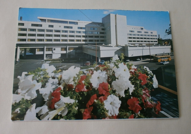 Turku, Hotelli Marina Palace, Keltainen vaara,1982 Saksaan