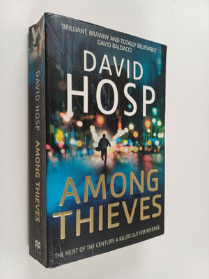 David Hosp : Among Thieves