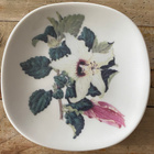 ARABIA SEINÄLAUTANEN HIBISCUS INSULARIS, WWF - pikkukuva 1