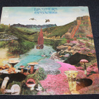 Brothers - Rainbow rider LP 1973 - pikkukuva 1