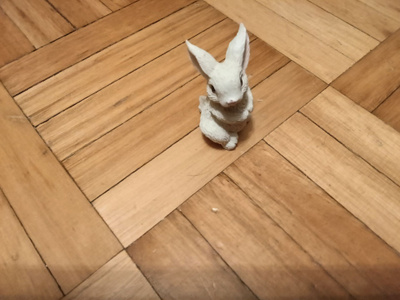 Jänönen