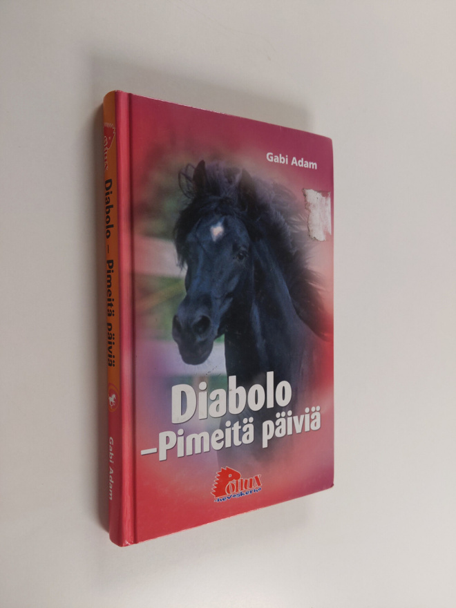 Gabi Adam : Diabolo : pimeitä päiviä