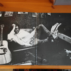 Neil Young:After the Gold Rush LP - pikkukuva 3