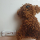 Nintendogs Koira Plus Luu - pikkukuva 1