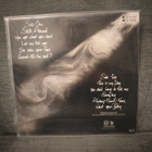LP Julian Lennon: The secret of daydreaming - pikkukuva 2