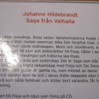 Johanne Hildebrandt: Saga från Valhalla 14CD (ljudboken) - pikkukuva 2