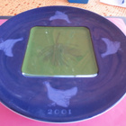 Arabia Seinälautanen, Flora - Fauna, 2001 - pikkukuva 1