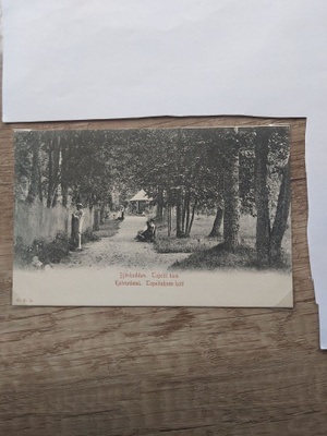 2 Koivuniemi Z.Topelius koti