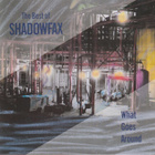 CD: The Best of Shadowfax: What goes around - pikkukuva 1