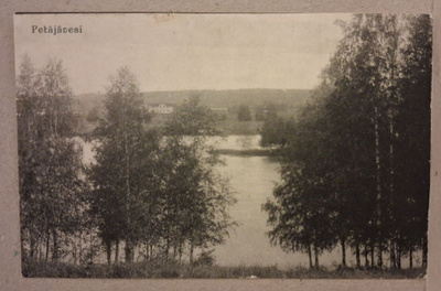 Petäjävesi: Rantamaisema o (306)