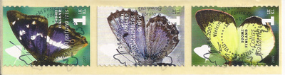 2007 Päiväperhosia epleimattuna
