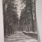 VANHA Postikortti Punkaharju 1930-l Alkup.Mallikappale - pikkukuva 1