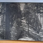 Punkaharju, vanha kortti harjulta, kulkenut 1945 - pikkukuva 1