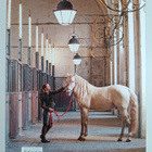 Vicky Moon : The Stylish Life - Equestrian - pikkukuva 2