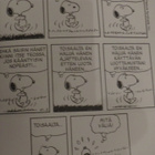 Charles M. Schulz: Ressun kanssa kuntoon - pikkukuva 3