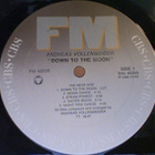 ANDREAS  VOLLENWEIDER :: DOWN TO THE MOON::VINYYLI  LP  1986 - pikkukuva 3