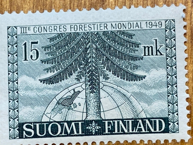 MAAILMAN METSÄKONGRESSI 15MK**