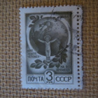 CCCP: kolme käyttömerkkiä - pikkukuva 3