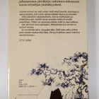 Pentti Haanpää : Muistiinmerkintöjä vuosilta 1925-1939 - pikkukuva 2