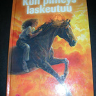 heppakirjoja 5 kpl hevoskirjoja - pikkukuva 3