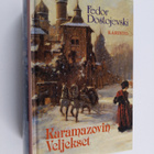 F. M. Dostojevski : Karamazovin veljekset - pikkukuva 1