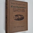 Ernest Thompson Seton : Kaksi partiopoikaa : kertomus kah... - pikkukuva 1