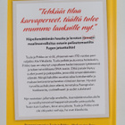 Minna Kivelä ym. : Tuula ja Pirkko Fugessa - pikkukuva 2