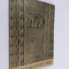 C. ym. (Valokuvat) Grunberg : Kansallismuseo : Opas - pikkukuva 1