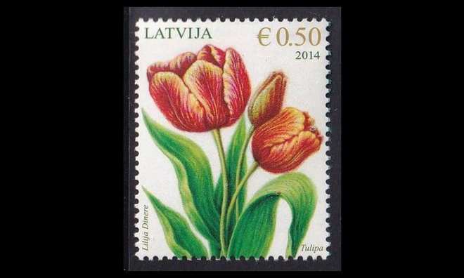 Latvia 898 ** Kukkia tulpaani (2014)