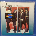 THE QUIREBOYS - A BIT OF WHAT YOU FANCY M-/M- EU -90 LP - pikkukuva 1